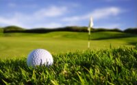 TCF Golf Course Profiles